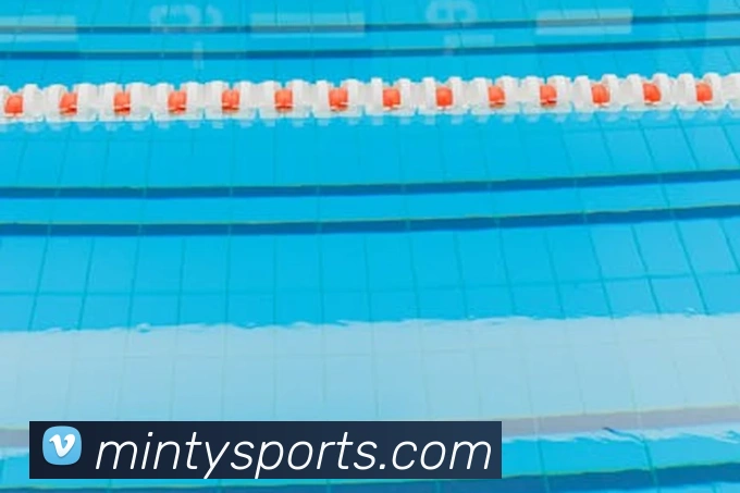 App Interface Preview